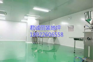 食品廠專用防霉抗菌型環(huán)氧地坪 打造高標(biāo)準(zhǔn)潔凈生產(chǎn)空間